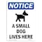 Signmission OSHA Notice Sign, 10" Height, Rigid Plastic, A Small Dog Lives Here Sign With Symbol, Portrait OS-NS-P-710-V-10030 - alternate 1